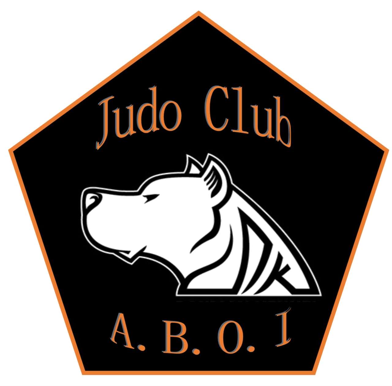 Logo ANILLE BRAYE JUDO ST CALAIS